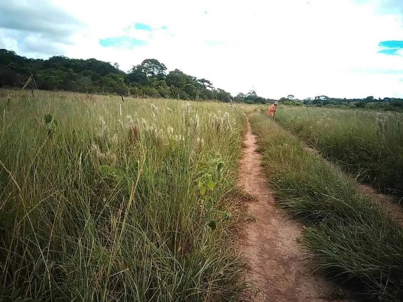Terreno de 300 m² en venta en Playa de Motacú, Urubó: foto 6 de 6