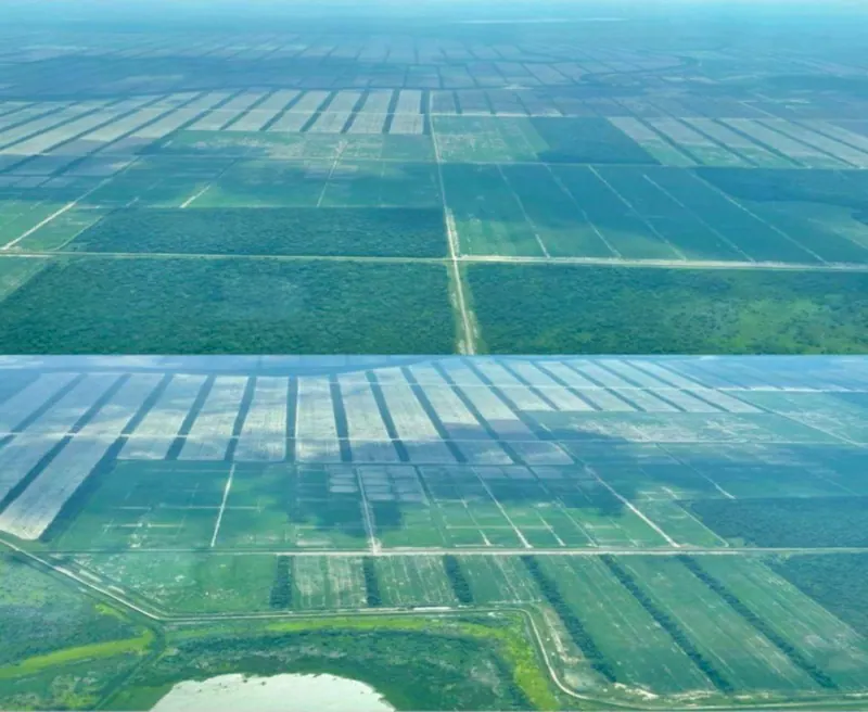 Propiedad agrícola de 4.215 hectáreas en venta en San Pablo: foto 1 de 38