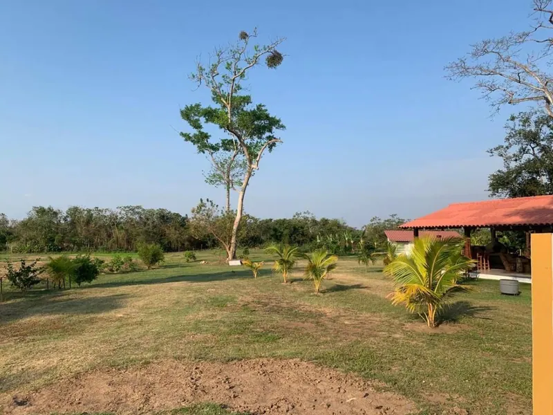 Propiedad agrícola de 4.215 hectáreas en venta en San Pablo: foto 11 de 38