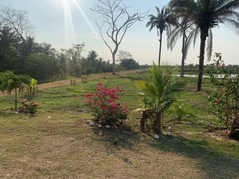 Propiedad agrícola de 4.215 hectáreas en venta en San Pablo: foto 12 de 38