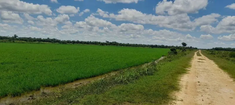 Propiedad agrícola de 4.215 hectáreas en venta en San Pablo: foto 16 de 38