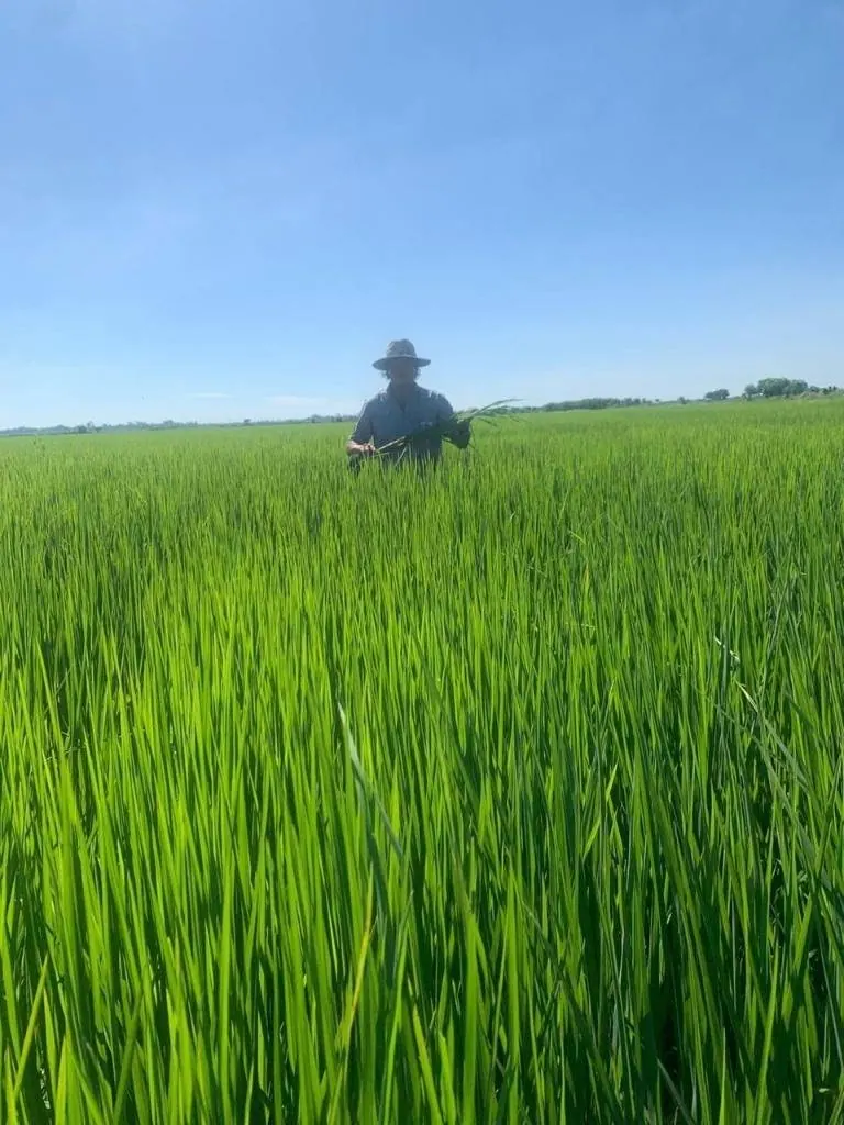 Propiedad agrícola de 4.215 hectáreas en venta en San Pablo: foto 20 de 38