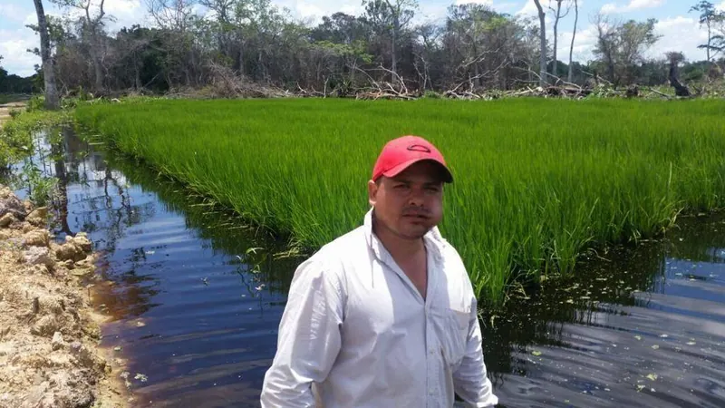 Propiedad agrícola de 4.215 hectáreas en venta en San Pablo: foto 23 de 38
