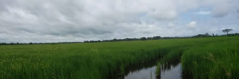 Propiedad agrícola de 4.215 hectáreas en venta en San Pablo: foto 28 de 38