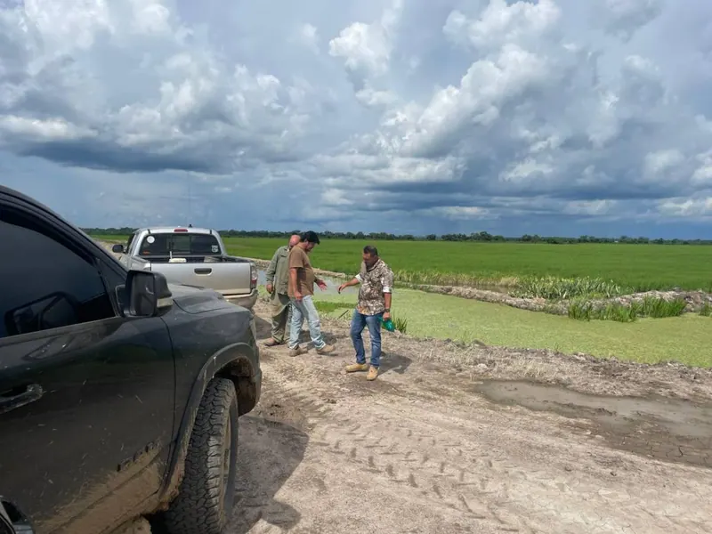 Propiedad agrícola de 4.215 hectáreas en venta en San Pablo: foto 36 de 38