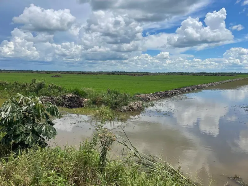 Propiedad agrícola de 4.215 hectáreas en venta en San Pablo: foto 38 de 38