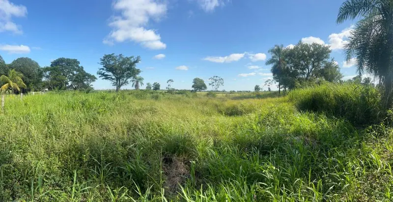 Terreno de 2.000 m² en venta en Warnes, comunidad Motacú: foto 1 de 4
