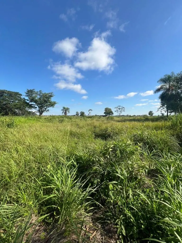 Terreno de 2.000 m² en venta en Warnes, comunidad Motacú: foto 2 de 4