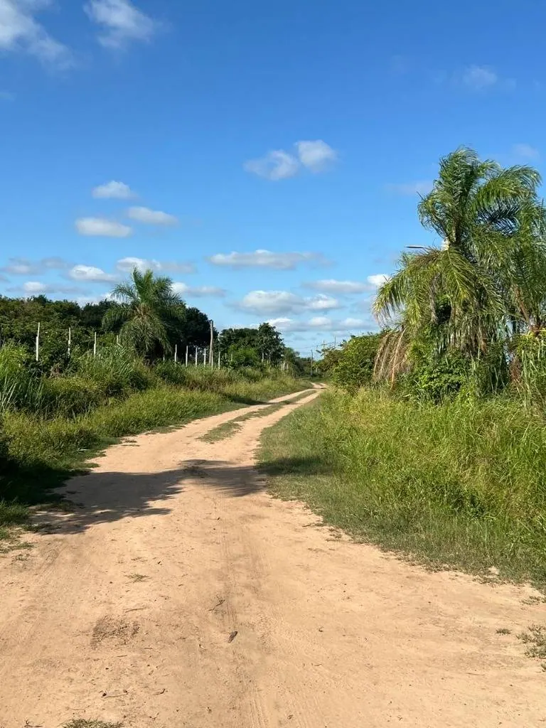 Terreno de 2.000 m² en venta en Warnes, comunidad Motacú: foto 3 de 4