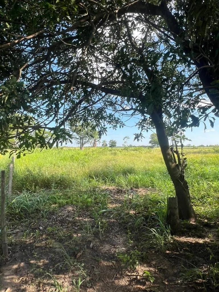 Terreno de 2.000 m² en venta en Warnes, comunidad Motacú: foto 4 de 4