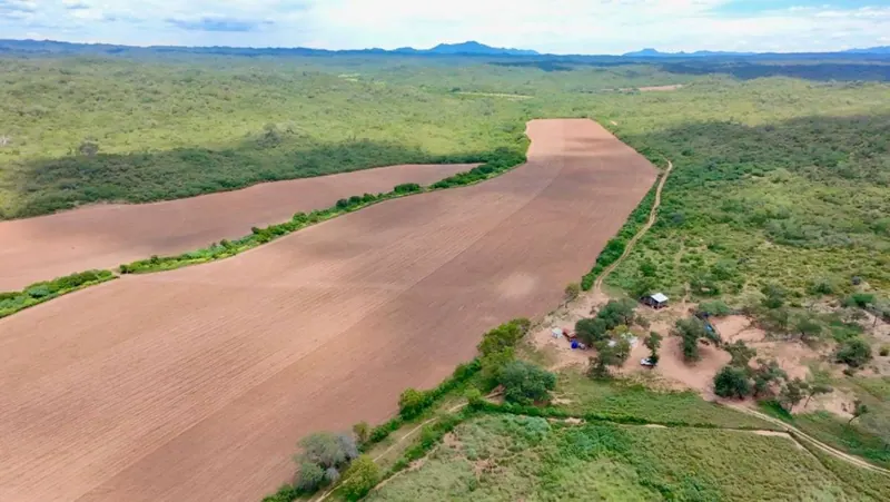 Propiedad rural de 887 hectáreas en venta en Camiri: foto 1 de 12
