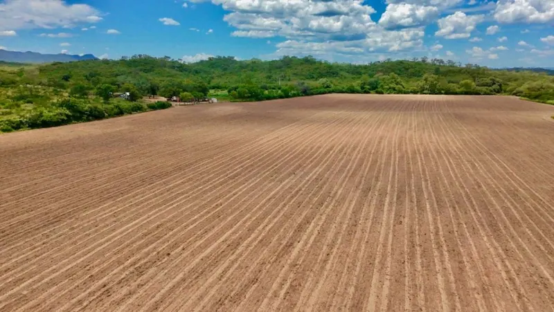 Propiedad rural de 887 hectáreas en venta en Camiri: foto 3 de 12