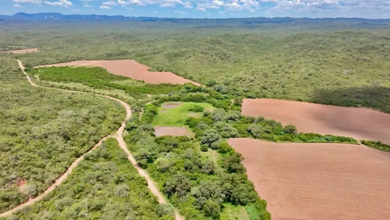 Propiedad rural de 887 hectáreas en venta en Camiri: foto 4 de 12
