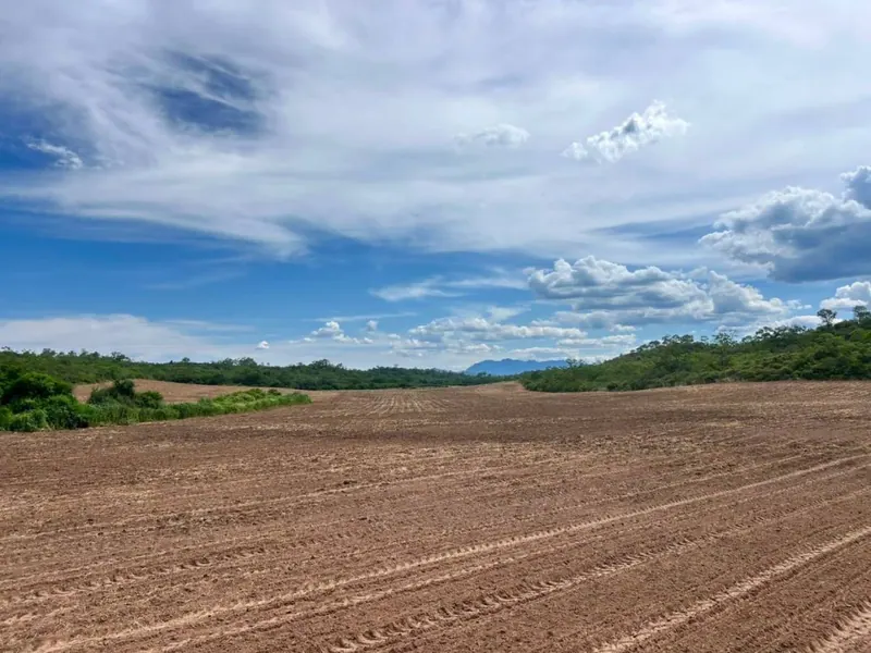 Propiedad rural de 887 hectáreas en venta en Camiri: foto 5 de 12
