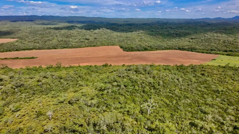 Propiedad rural de 887 hectáreas en venta en Camiri: foto 6 de 12