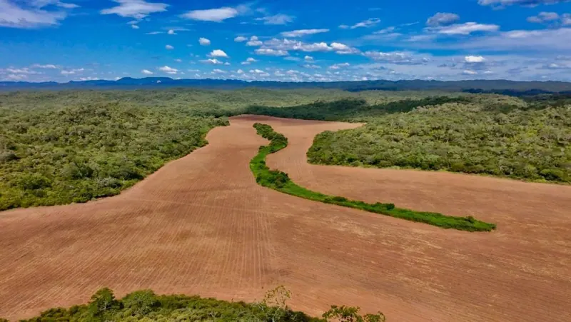 Propiedad rural de 887 hectáreas en venta en Camiri: foto 7 de 12