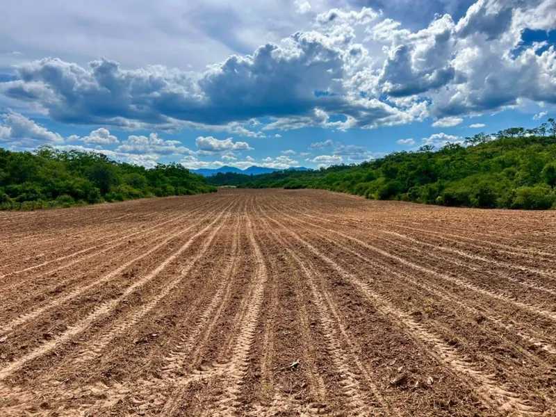 Propiedad rural de 887 hectáreas en venta en Camiri: foto 8 de 12