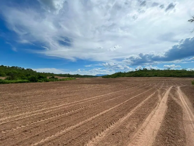 Propiedad rural de 887 hectáreas en venta en Camiri: foto 9 de 12