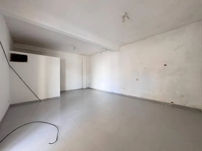 Casa con 5 locales comerciales en venta en la Zona Sur, El Palmar: foto 15 de 20