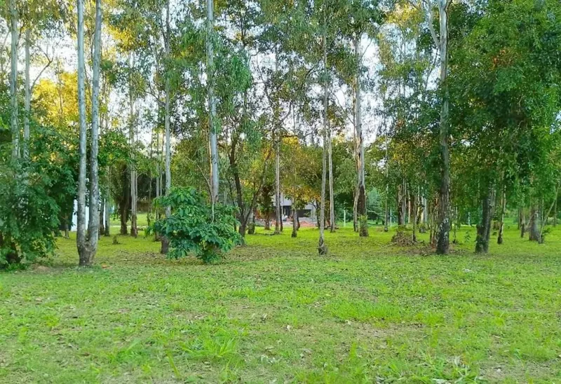 728 m² lot for sale in the Bella Flor gated community, Urubó: foto 1 de 5