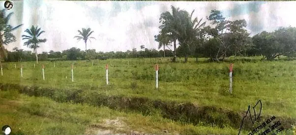 Terreno de 4.789,51 m² en venta en Portachuelo: foto 8 de 9