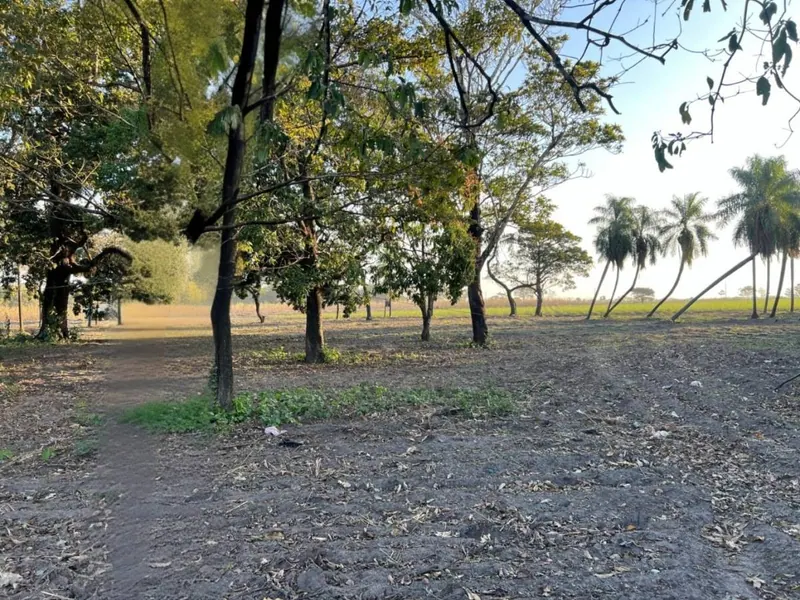 15,000 m² lot for sale in Mineros, Obispo Santistevan province: foto 3 de 3