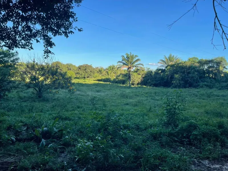 Terreno de 4.000,42 m² en venta en el Urubó, cerca de playa Turquesa: foto 3 de 4
