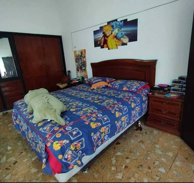 Casa con departamento independiente en venta en la Av. San Aurelio: foto 8 de 10