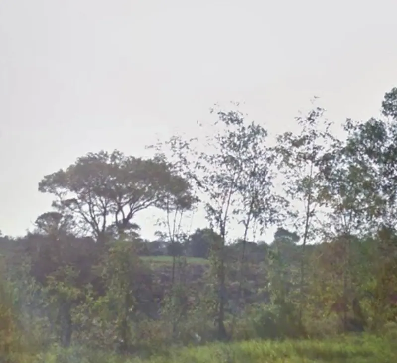 Terreno de 300 m² en venta en Villa Milagros, Brecha 7: foto 1 de 9