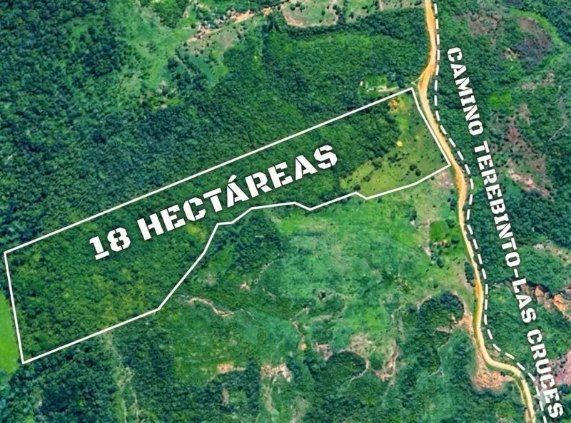 18-hectare rural property for sale between Las Cruces and Terebinto: foto 2 de 14