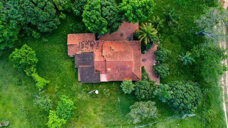 18-hectare rural property for sale between Las Cruces and Terebinto: foto 4 de 14
