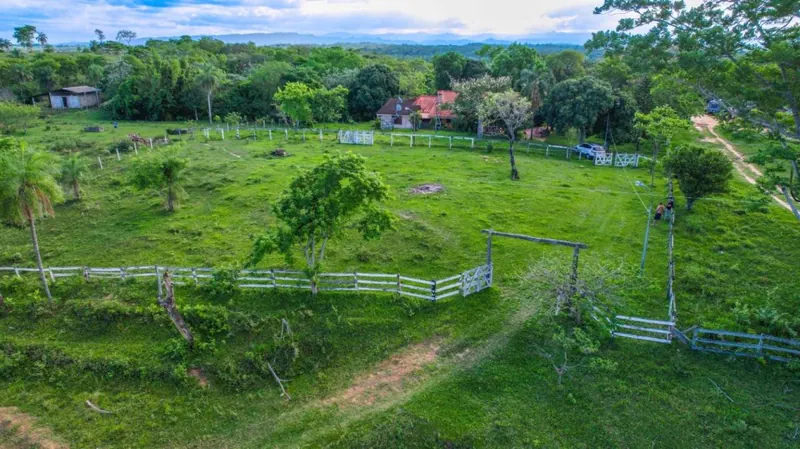 18-hectare rural property for sale between Las Cruces and Terebinto: foto 5 de 14