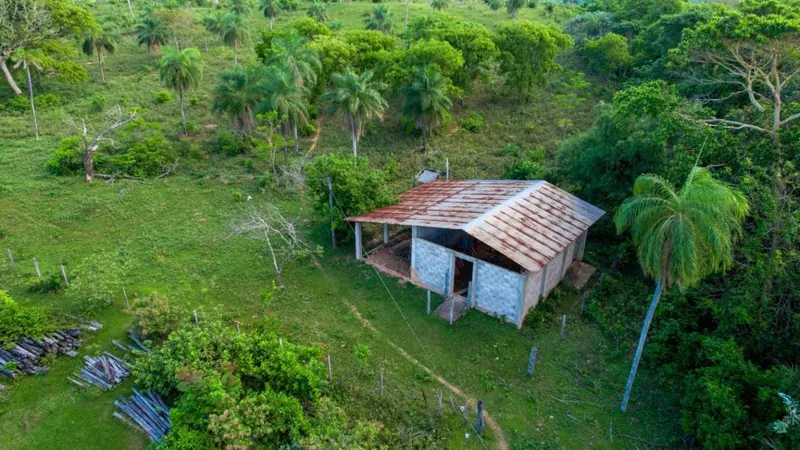18-hectare rural property for sale between Las Cruces and Terebinto: foto 7 de 14