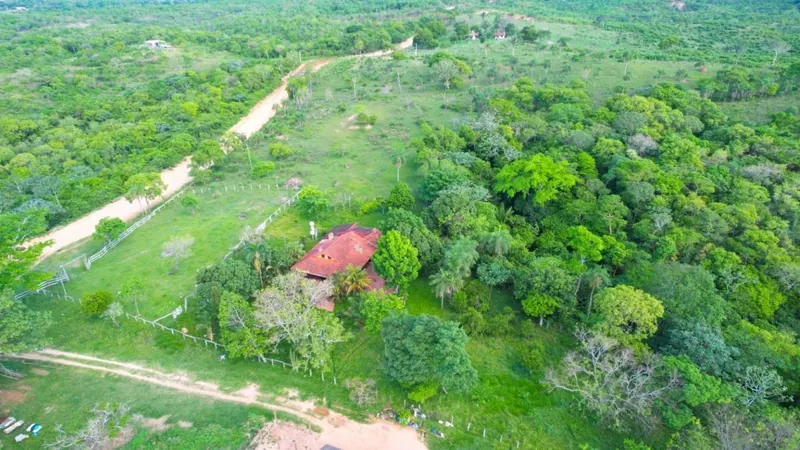 18-hectare rural property for sale between Las Cruces and Terebinto: foto 8 de 14