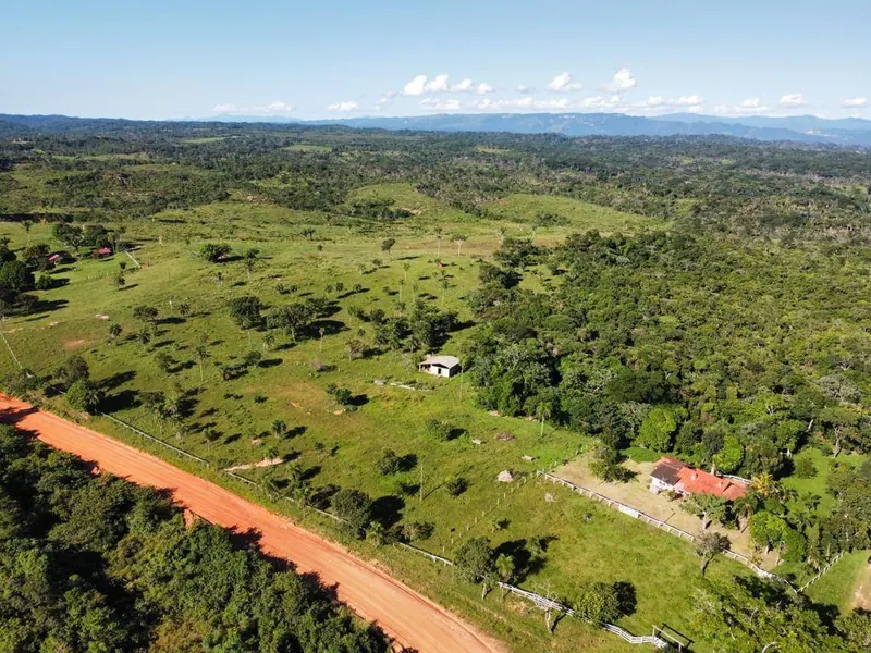 18-hectare rural property for sale between Las Cruces and Terebinto: foto 9 de 14