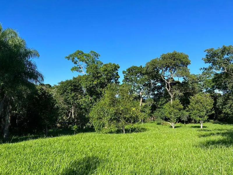 18-hectare rural property for sale between Las Cruces and Terebinto: foto 10 de 14