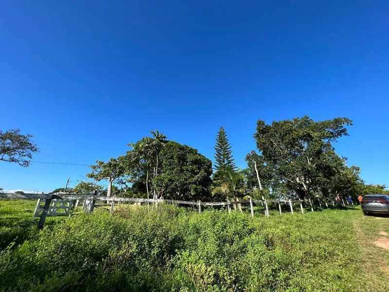 18-hectare rural property for sale between Las Cruces and Terebinto: foto 11 de 14