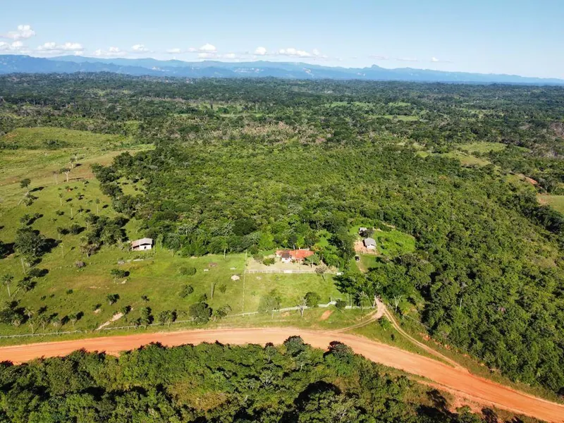 18-hectare rural property for sale between Las Cruces and Terebinto: foto 12 de 14