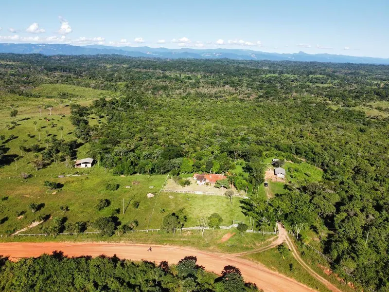 18-hectare rural property for sale between Las Cruces and Terebinto: foto 13 de 14