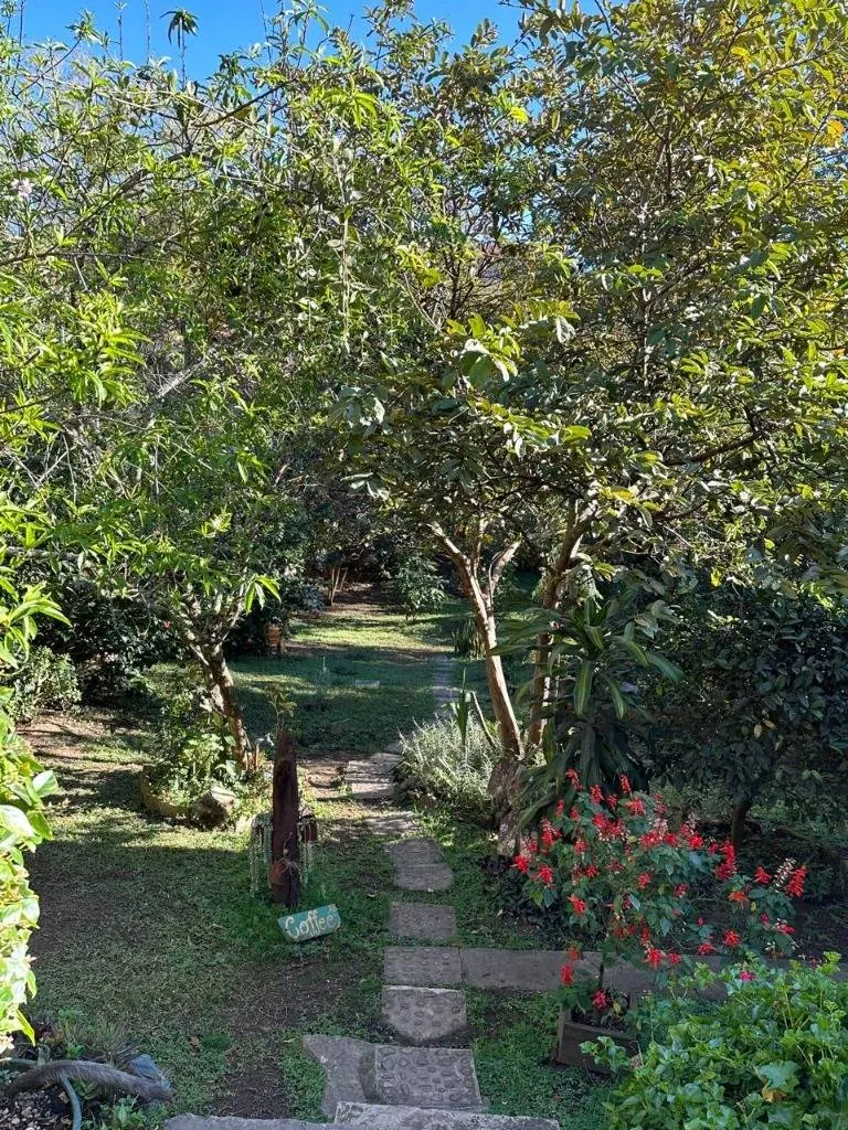 Casa de adobe en venta en Samaipata, a pasos de la plaza: foto 17 de 19