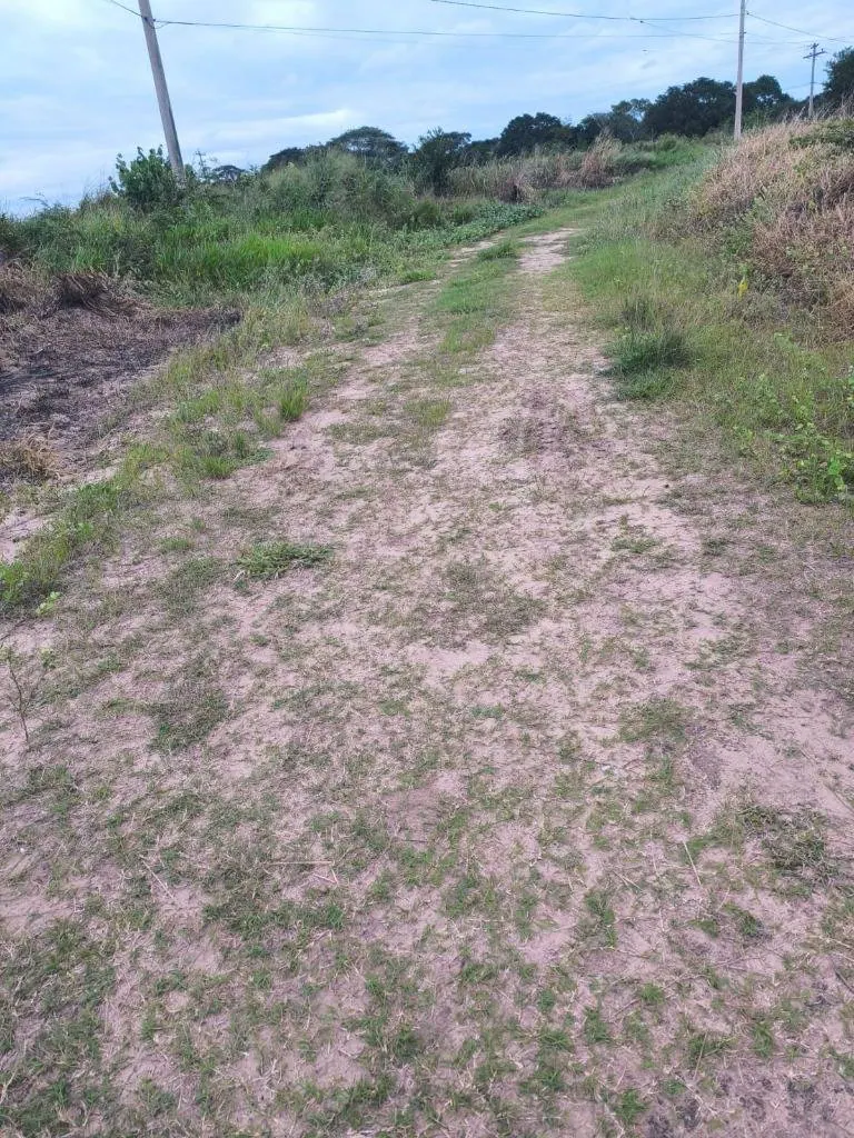Dos terrenos de 300 m² cada uno en venta en Valle Sánchez, Warnes: foto 21 de 24