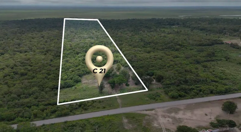 34-hectare lot for sale in Puerto Suárez, on the bioceánica highway: foto 2 de 10