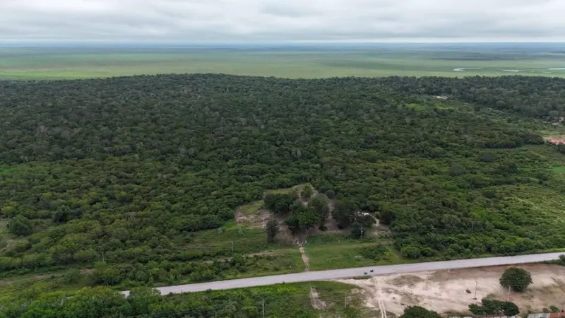 34-hectare lot for sale in Puerto Suárez, on the bioceánica highway: foto 7 de 10