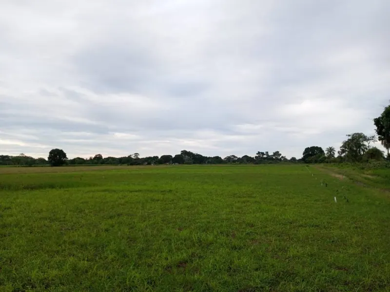 300 m² lot for sale in Candelaria, Warnes: foto 1 de 4