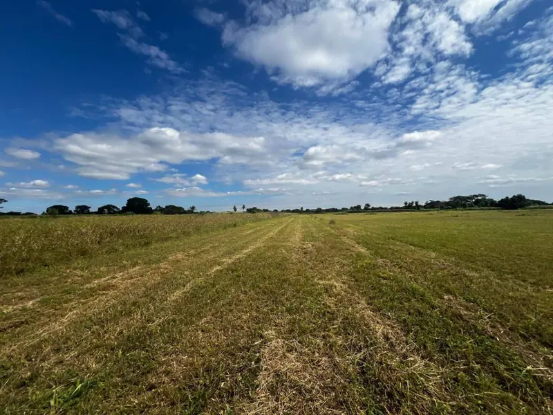 300 m² lot for sale in Candelaria, Warnes: foto 3 de 4