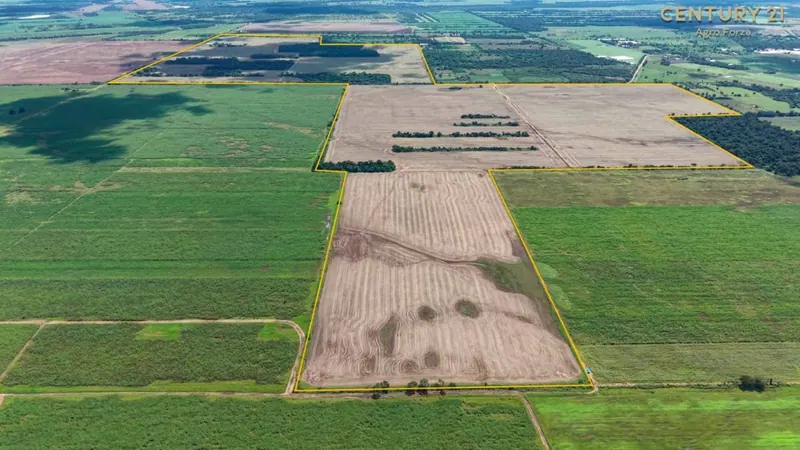 414-hectare farming and ranching property for sale in Montero Hoyos: foto 3 de 18