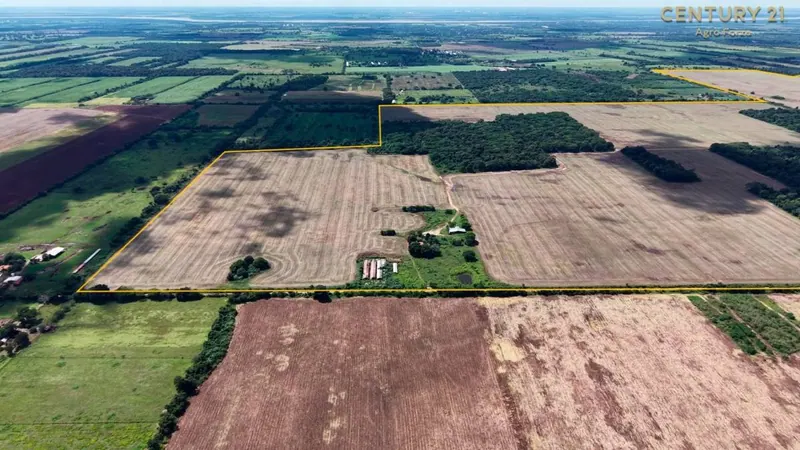 414-hectare farming and ranching property for sale in Montero Hoyos: foto 4 de 18