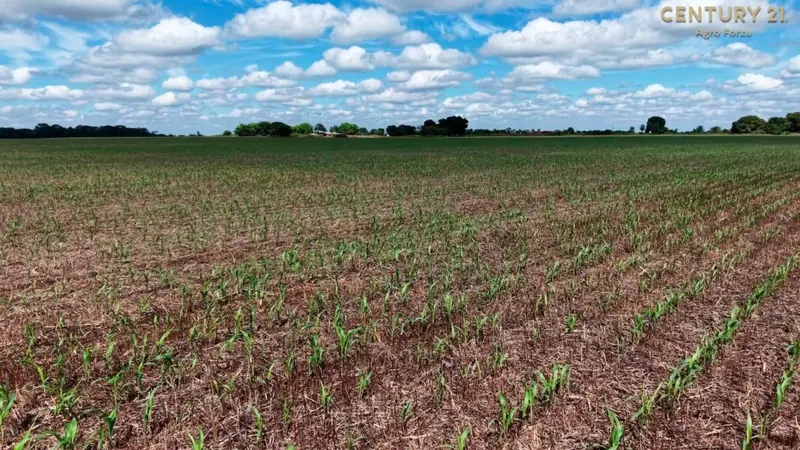 414-hectare farming and ranching property for sale in Montero Hoyos: foto 8 de 18