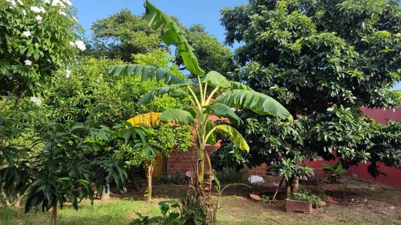 Casa de 2 dormitorios en venta en el Plan 3000, zona El Fuerte: foto 4 de 19
