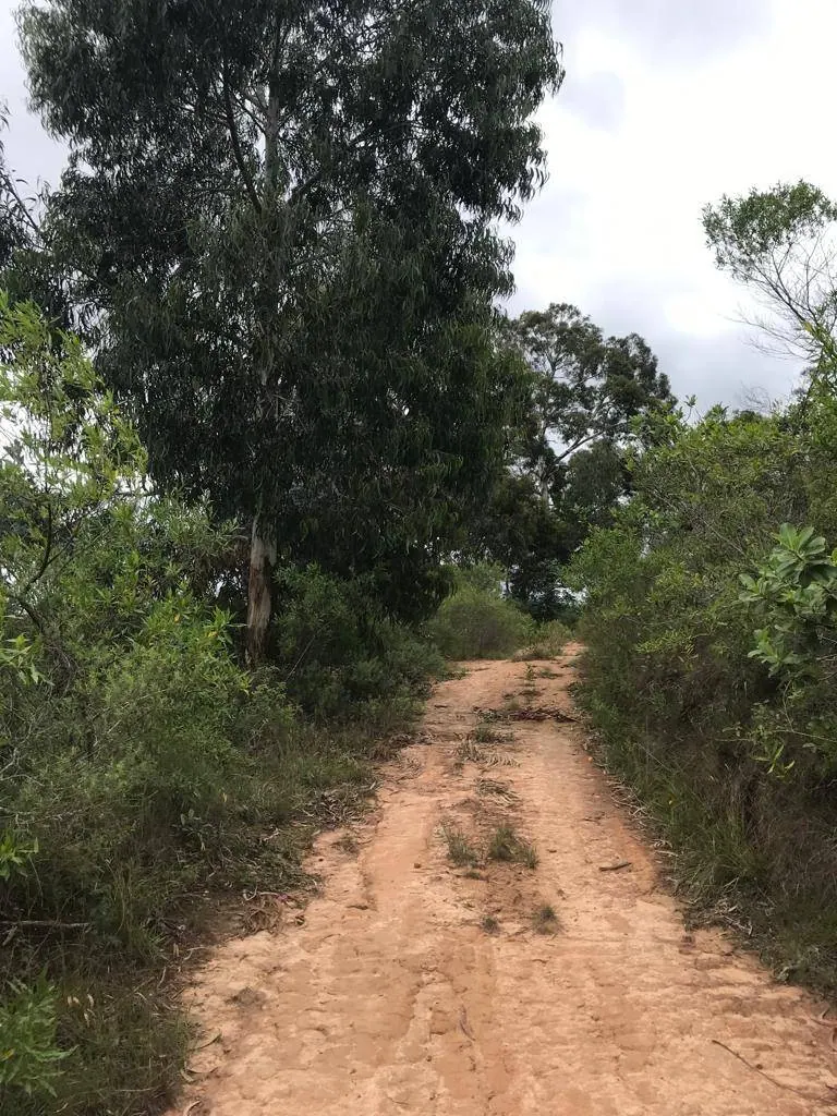 Quinta de 6,5 hectáreas en venta en Samaipata, a 8 km de la plaza: foto 6 de 11
